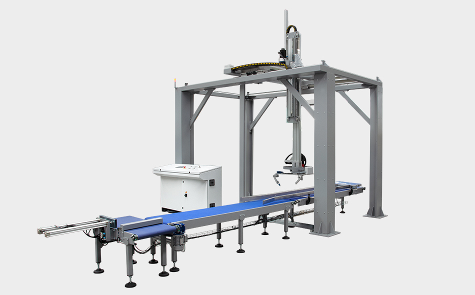 Palletizing Cartesian Robot Resim